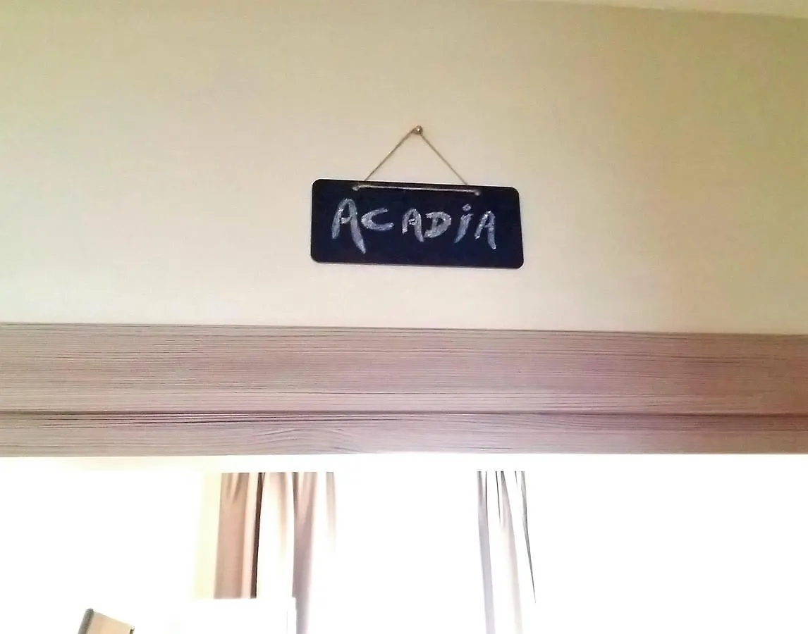 לינה וארוחת בוקר Pisa City Lodge